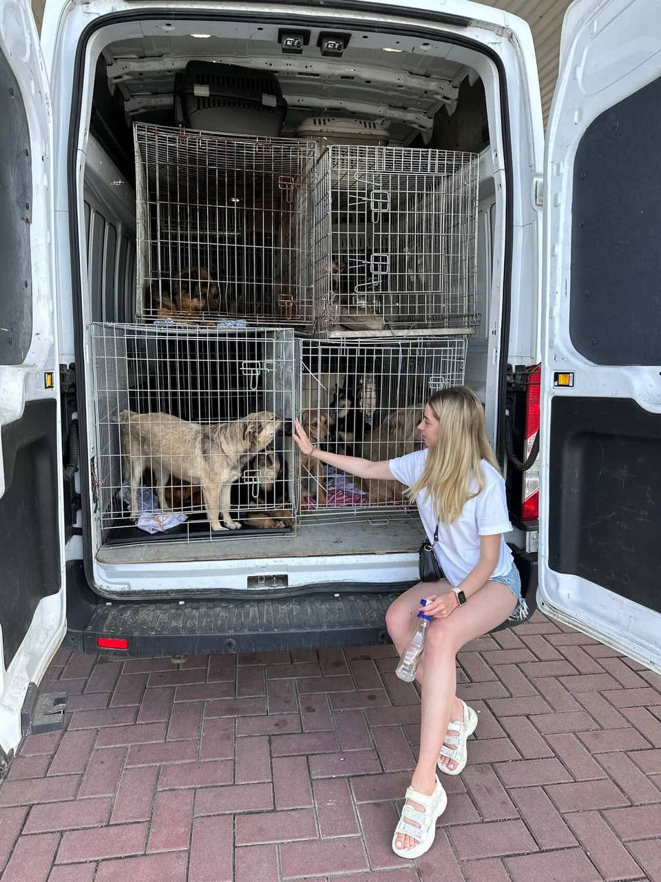 Зображення з історії